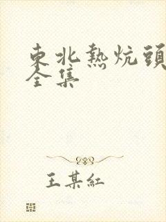 东北热炕头小说全集封面