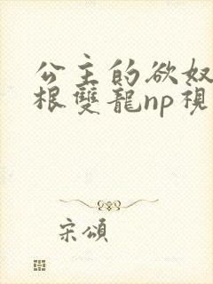 公主的欲奴h四根双龙np视频