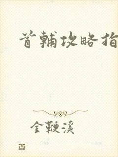 首辅攻略指南