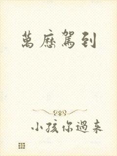 万历驾到封面