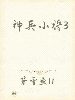 神兵小将3