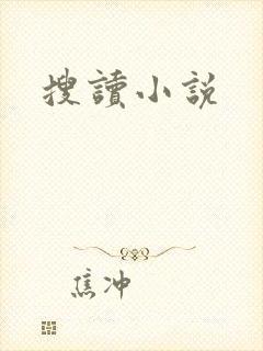 搜读小说封面