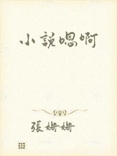 小说嗯啊