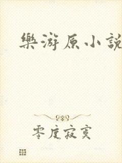 乐游原小说封面