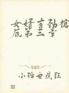 女婿有劲枪枪到底第三章