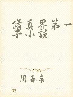 修真界第一病秧子小说封面