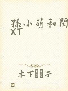 孙小萌和闫辰TXT封面