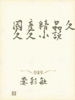 国产精品久久久久久小说封面
