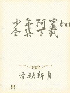 少年阿宾txt全集下载