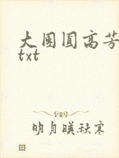 大团圆高芳小说txt