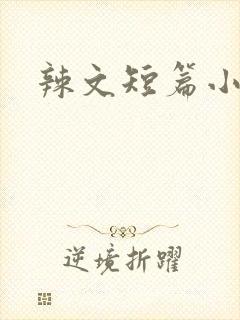 辣文短篇小说封面