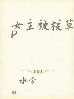 女主被校草们NP