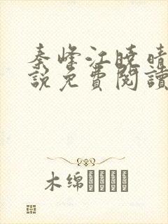 秦峰江晓晴的小说免费阅读
