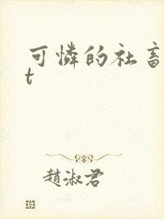 可怜的社畜txt