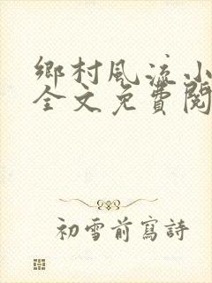 乡村风流小傻子全文免费阅读封面
