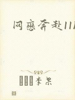 网恋奔赴11h