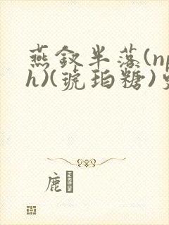 燕钗半落(nph)(琥珀糖)更新
