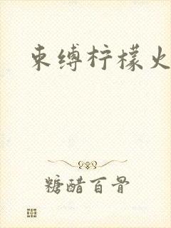 束缚柠檬火焰封面