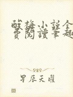 酸梅小说全文免费阅读笔趣阁