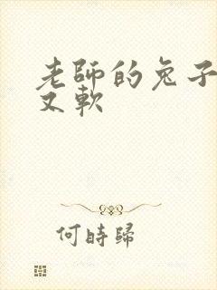 老师的兔子又大又软