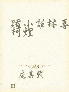 赌小说林喜朝和柯煜