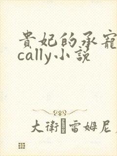 贵妃的承宠日常cally小说封面