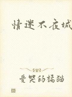 情迷不夜城封面