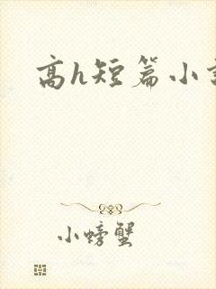 高h短篇小说