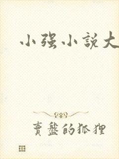 小强小说大全