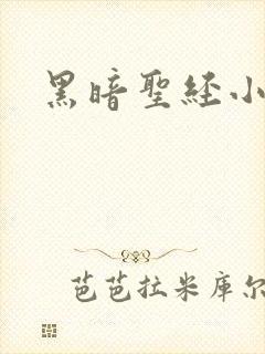 黑暗圣经小说