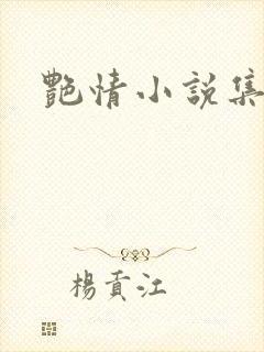 艳情小说集封面