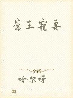鹰王宠妻封面
