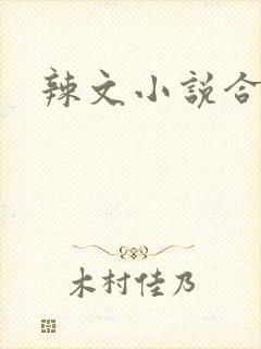 辣文小说合集