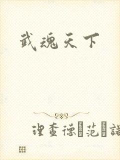 武魂天下封面