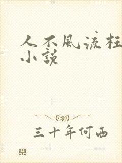 人不风流枉少年小说
