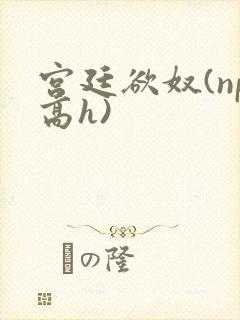 宫廷欲奴(np高h)