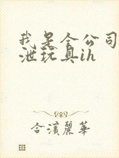 我是全公司的发泄玩具ih封面