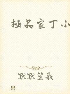 极品家丁小说