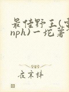 最佳野王(电竞nph)一坨薯饼封面
