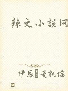 辣文小说网