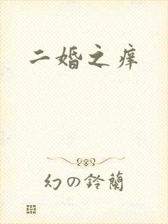 二婚之痒