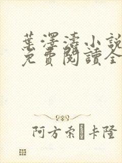 叶泽涛小说全文免费阅读全文