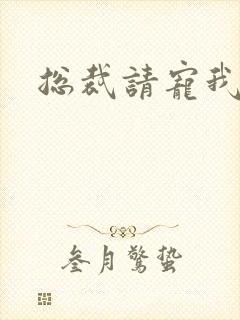 总裁请宠我