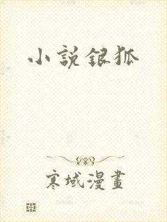 小说银狐封面