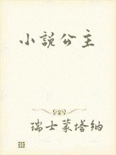 小说公主封面