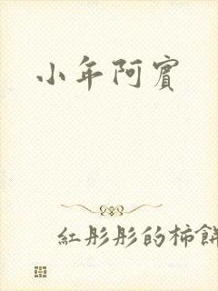 小年阿宾