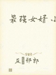 最强女婿 小说