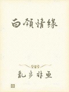 白领情缘