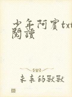 少年阿宾txt阅读