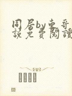 同居by东哥小说免费阅读全文无弹窗封面